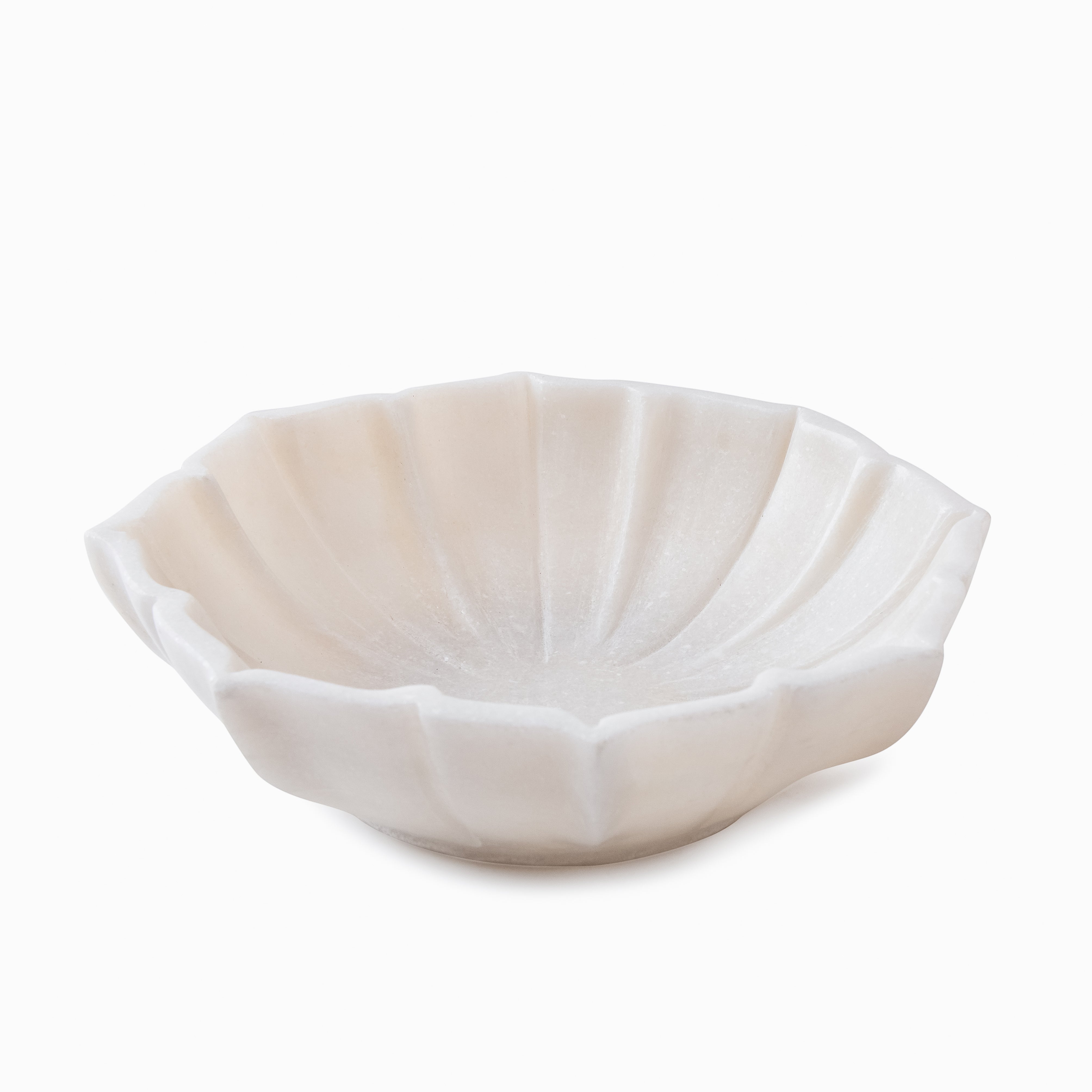 Octa Uruli - 6 inch